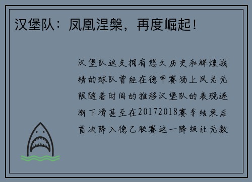 汉堡队：凤凰涅槃，再度崛起！